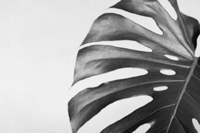 企业宣传片的拍摄方案具体要怎么样来设计呢？