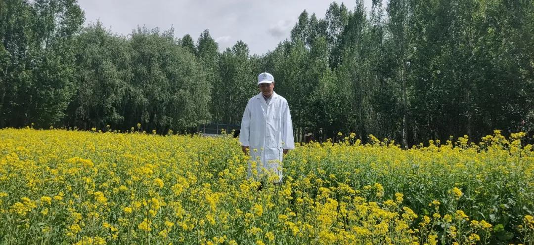 顺动新作|遇见五月的西藏